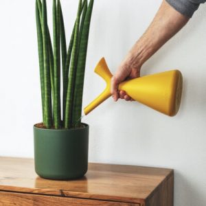 Plants Store Gallery Img 2 300x300 1